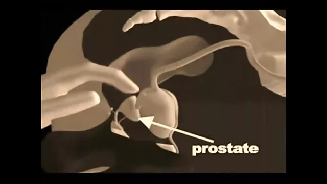 Etiquetas para vídeos porno novos senhoras sensuais-Broche