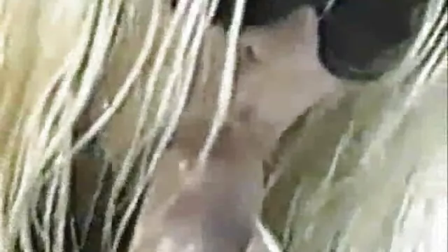 A loura a Solo vídeo de pornô com as novinhas esfrega a rata em 4K